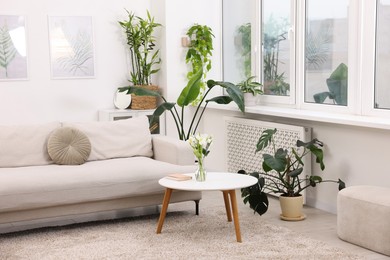 Photo of Feng shui. Stylish room with comfortable couch and houseplants