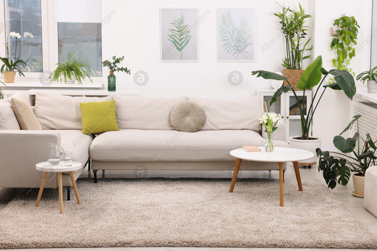 Photo of Feng shui. Stylish room with comfortable couch and houseplants