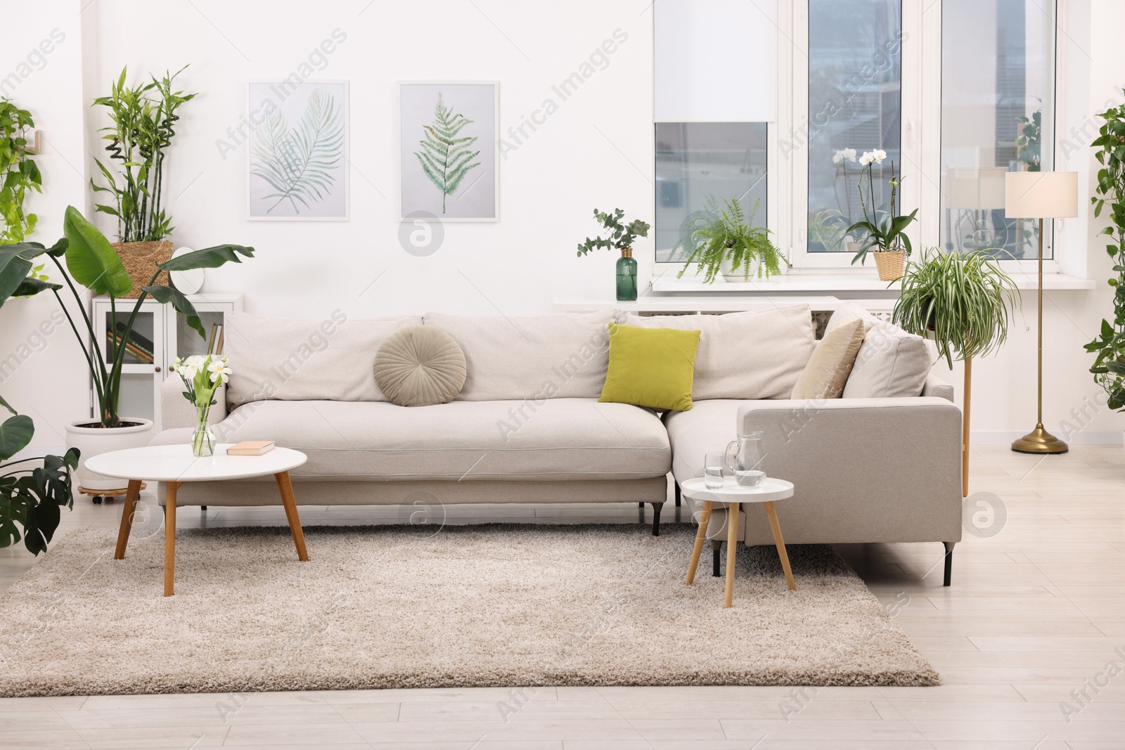 Photo of Feng shui. Stylish room with comfortable couch and houseplants