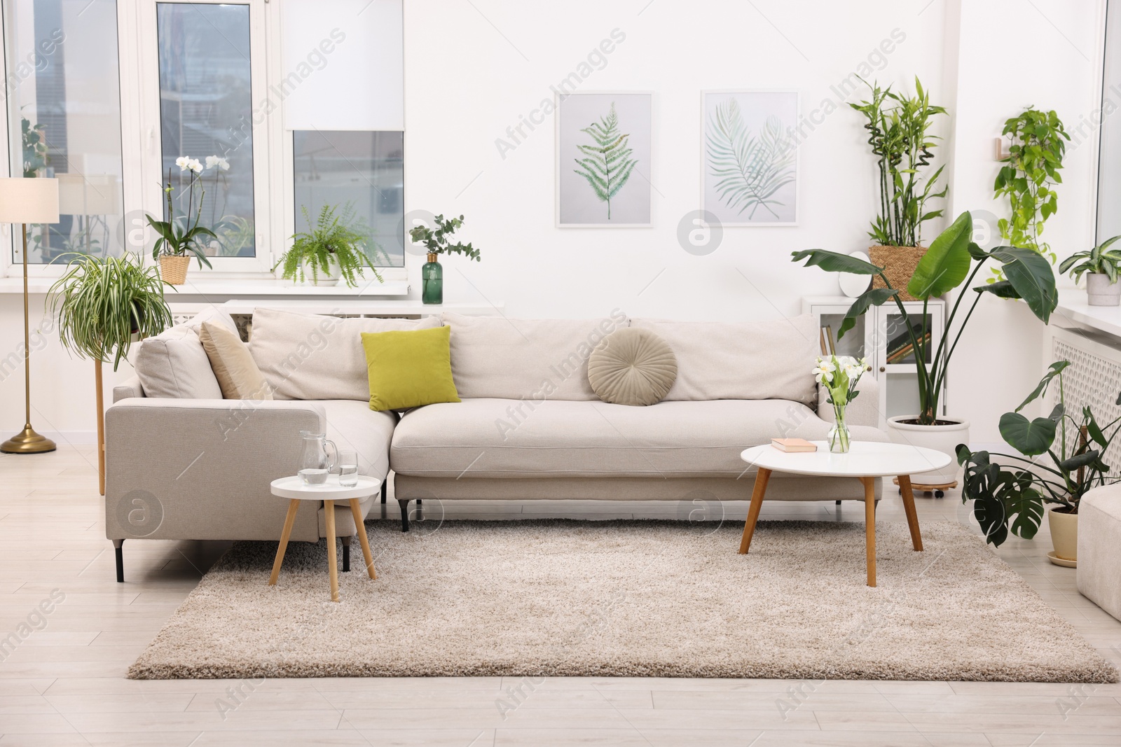 Photo of Feng shui. Stylish room with comfortable couch and houseplants