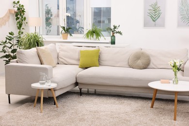 Photo of Feng shui. Stylish room with comfortable couch and houseplants