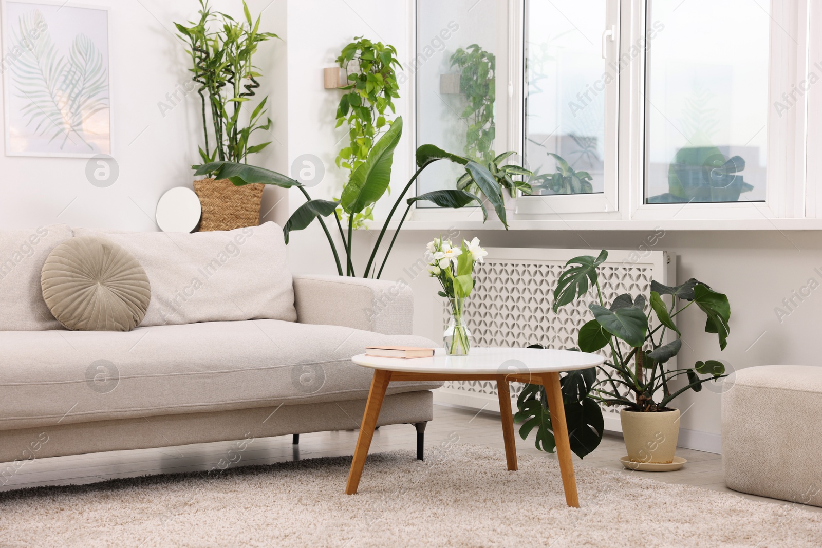 Photo of Feng shui. Stylish room with comfortable couch and houseplants