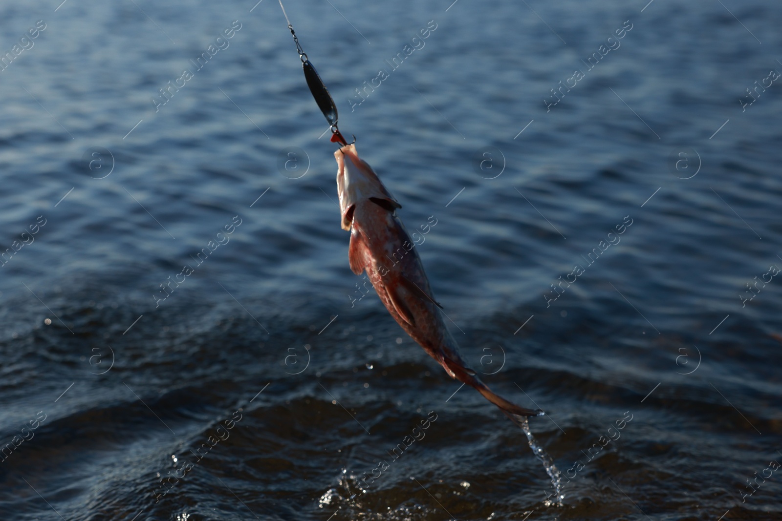 Photo of Catching fish on hook in river. Fishing day