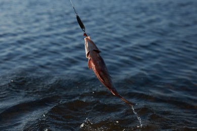 Photo of Catching fish on hook in river. Fishing day