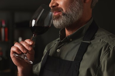 Photo of Professional sommelier tasting red wine in glass indoors, closeup