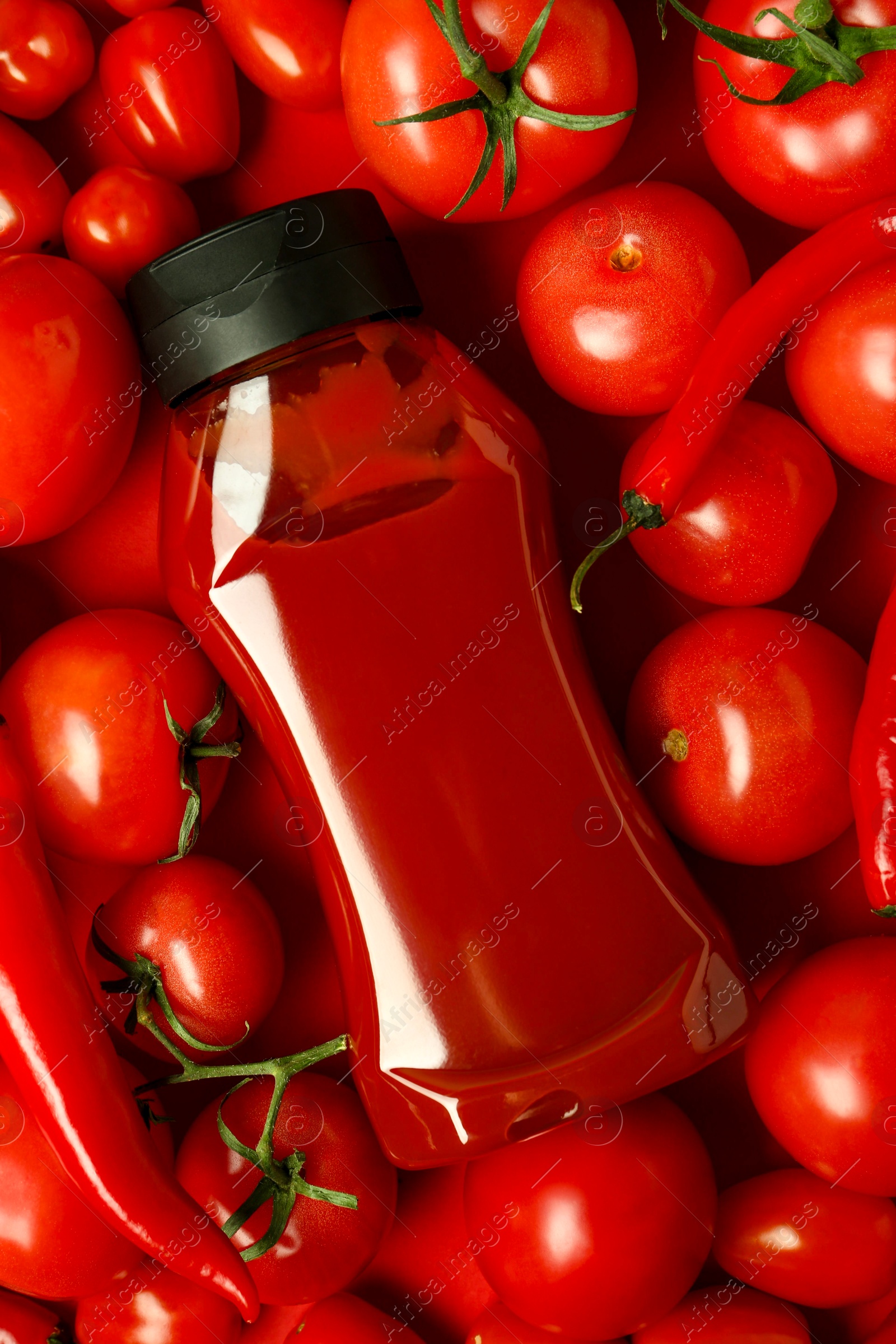 Photo of Bottle of ketchup, tomatoes and chili peppers on red background, top view