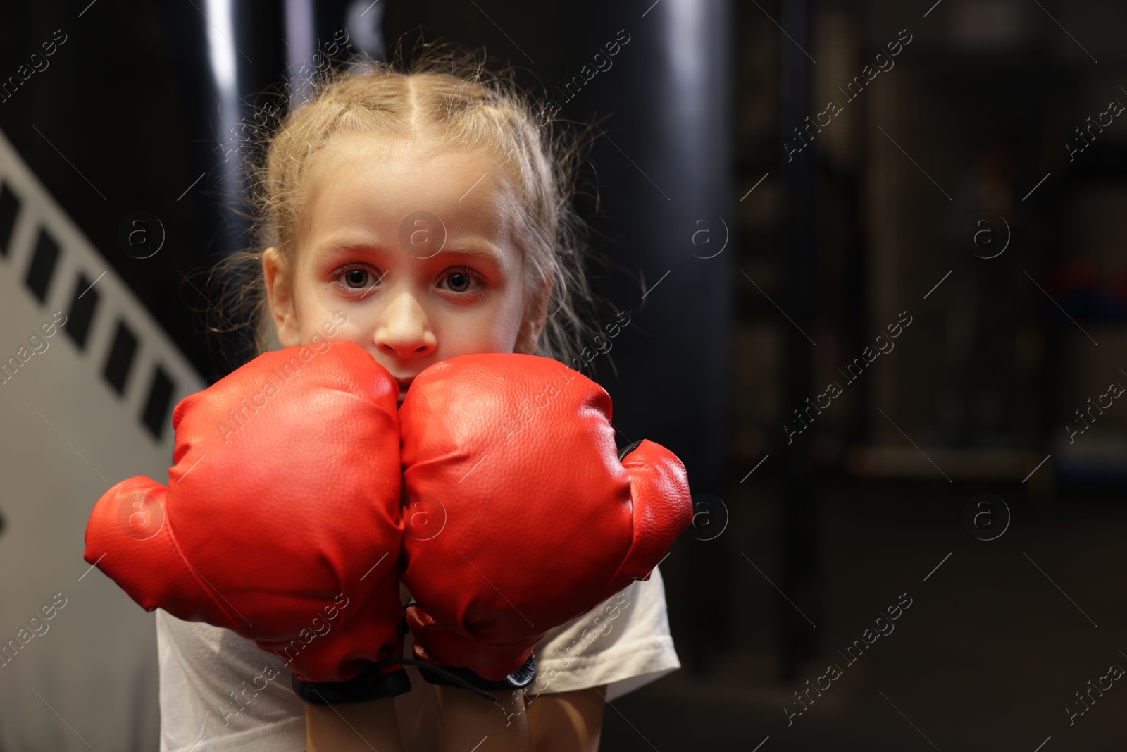 Photo of Boxing. Girl in protective gloves at training center. Space for text