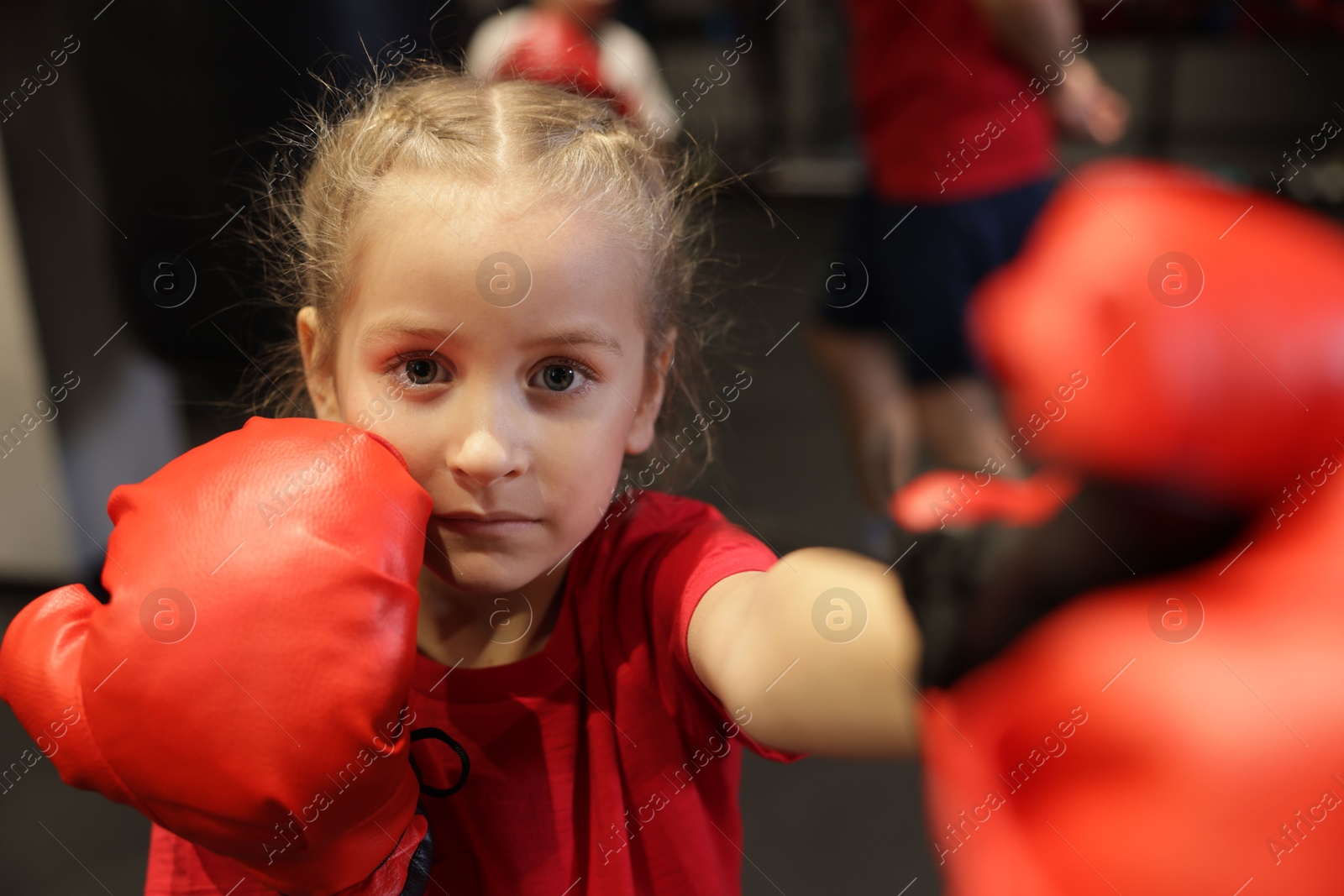 Photo of Girl in protective gloves having boxing practice indoors