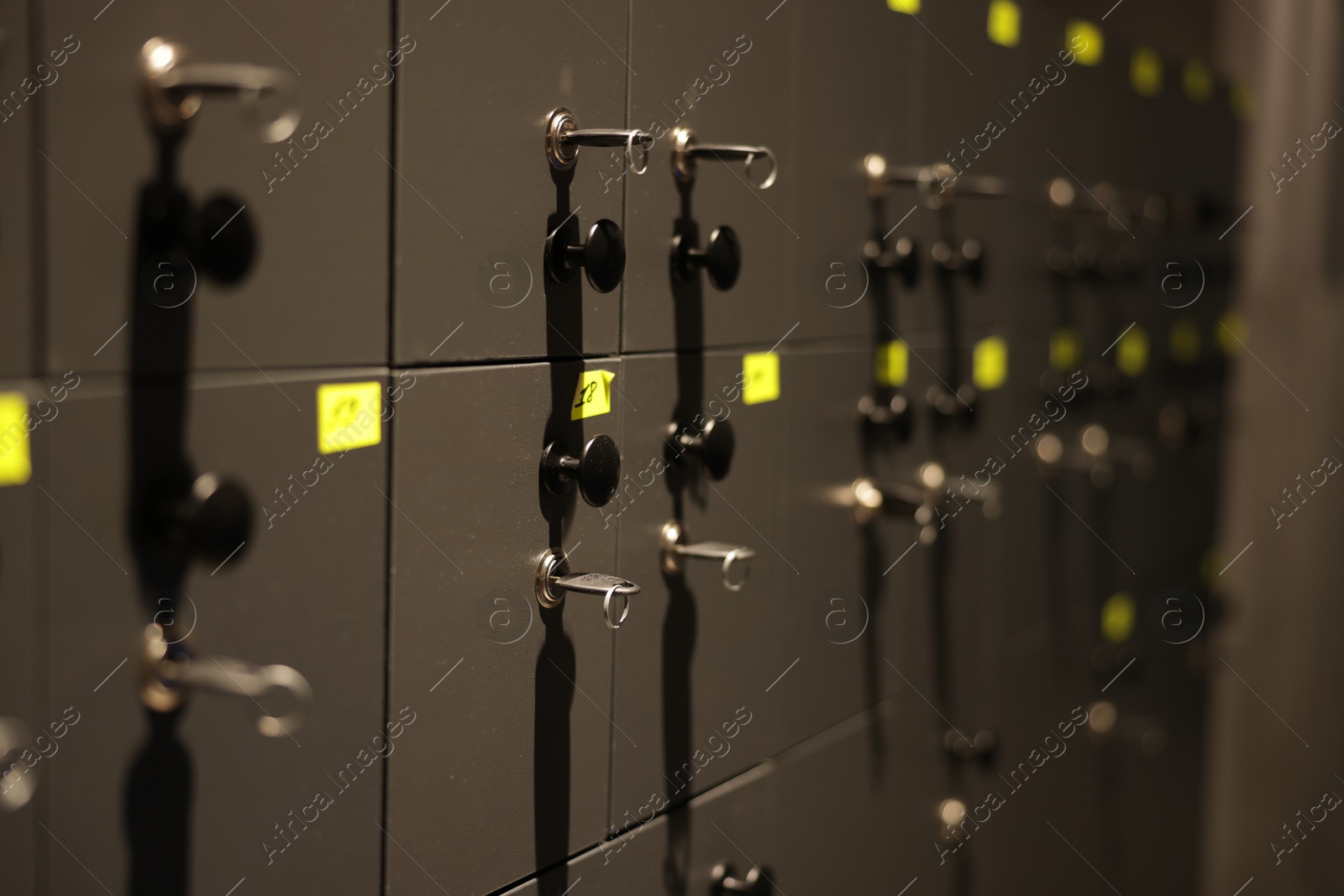 Photo of Lockers with keys in gym changing room, closeup