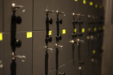 Photo of Lockers with keys in gym changing room, closeup