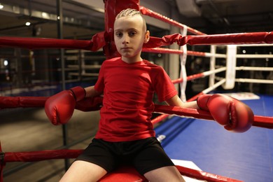 Photo of Boy sitting in his corner of boxing ring