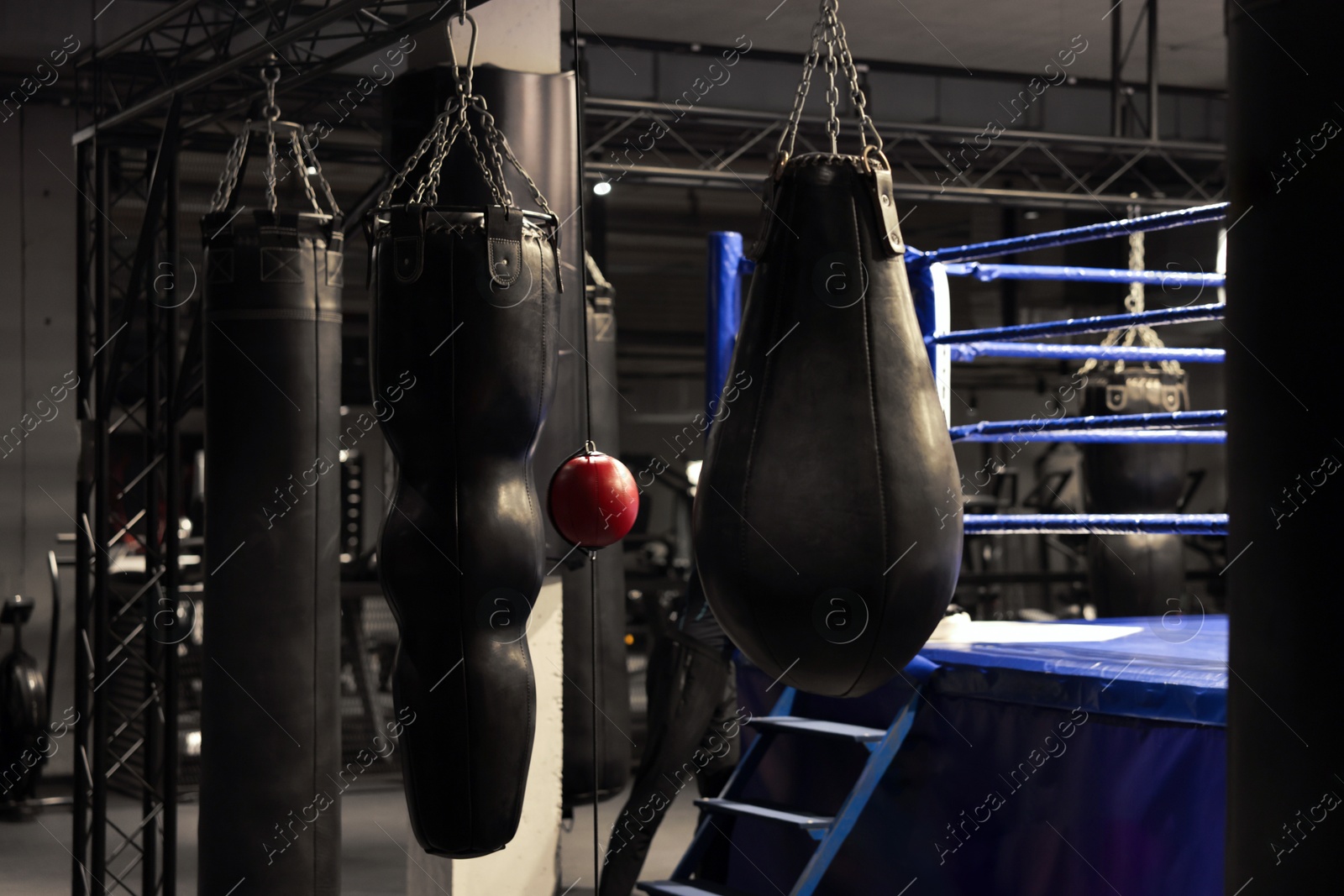 Photo of Punching bags and boxing ring in training center