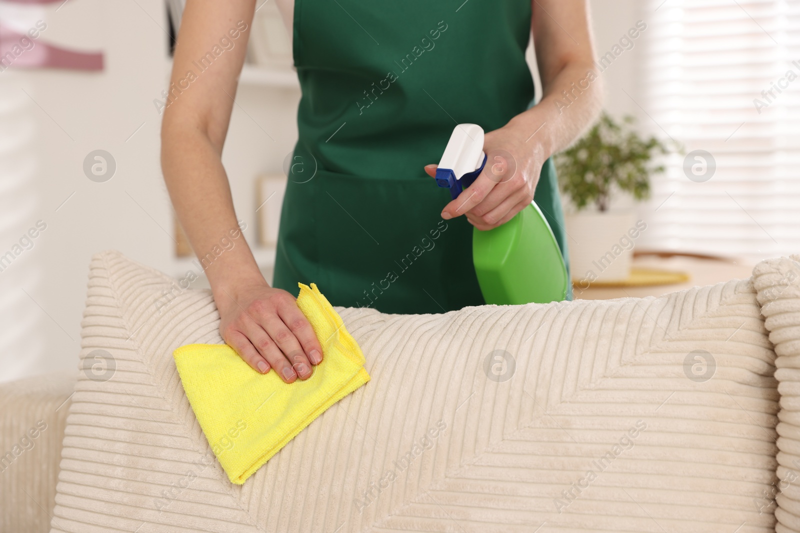 Photo of Janitor cleaning sofa with rag at home, closeup