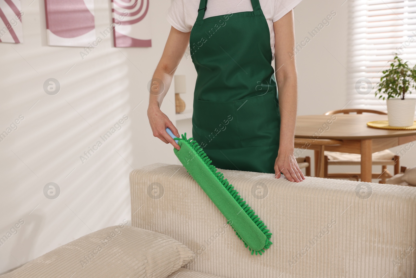 Photo of Janitor cleaning sofa with duster at home, closeup