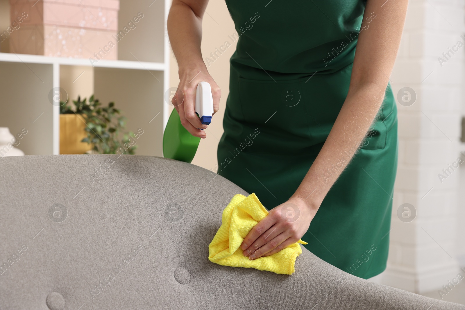 Photo of Janitor cleaning sofa with rag at home, closeup