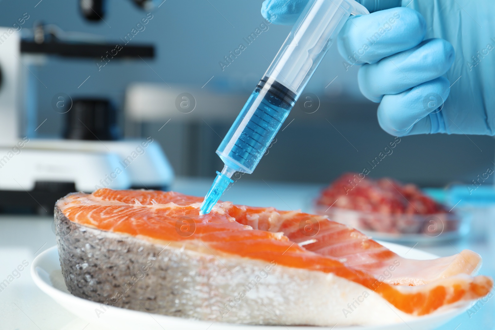 Photo of GMO concept. Scientist injecting something into piece of salmon at table in laboratory, closeup