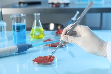 Photo of GMO concept. Scientist with piece of meat at table in laboratory, closeup