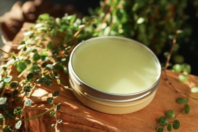 Photo of Natural solid perfume and plant on wood, closeup