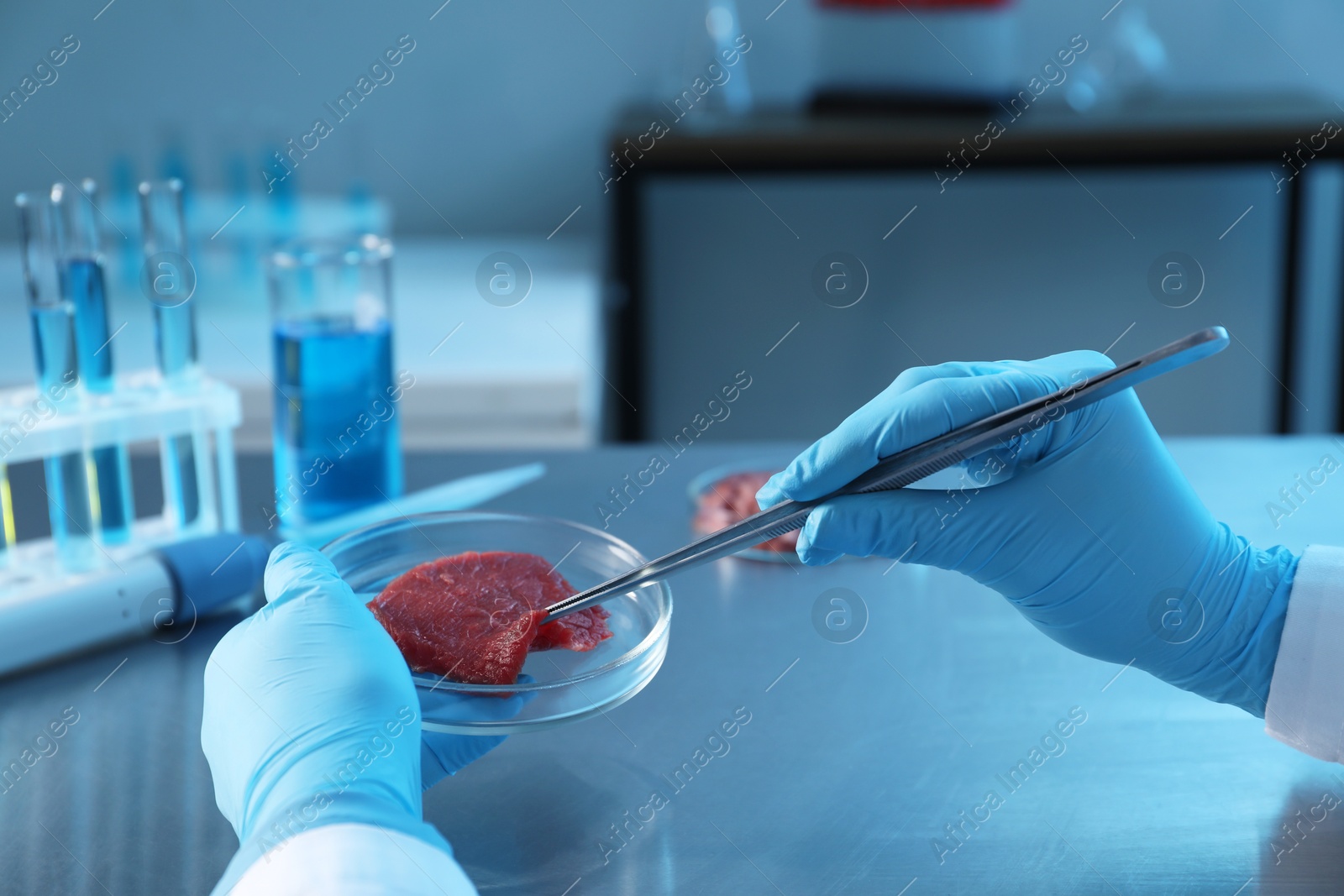 Photo of GMO concept. Scientist with piece of meat at table in laboratory, closeup