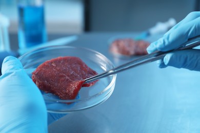 Photo of GMO concept. Scientist with piece of meat at table in laboratory, closeup