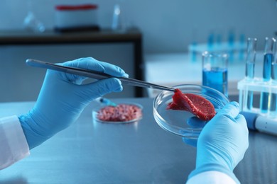 Photo of GMO concept. Scientist with piece of meat at table in laboratory, closeup