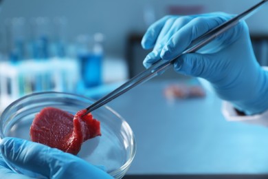 Photo of GMO concept. Scientist with piece of meat at table in laboratory, closeup