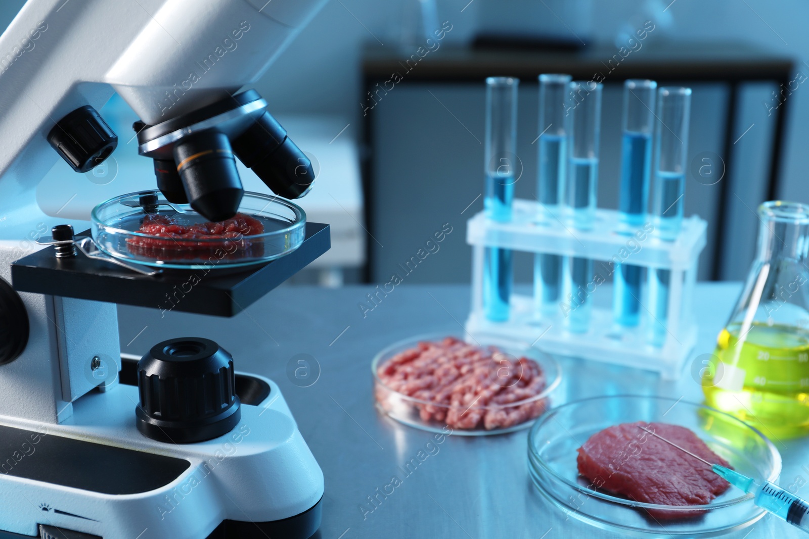 Photo of GMO concept. Petri dish with piece of meat under microscope in laboratory