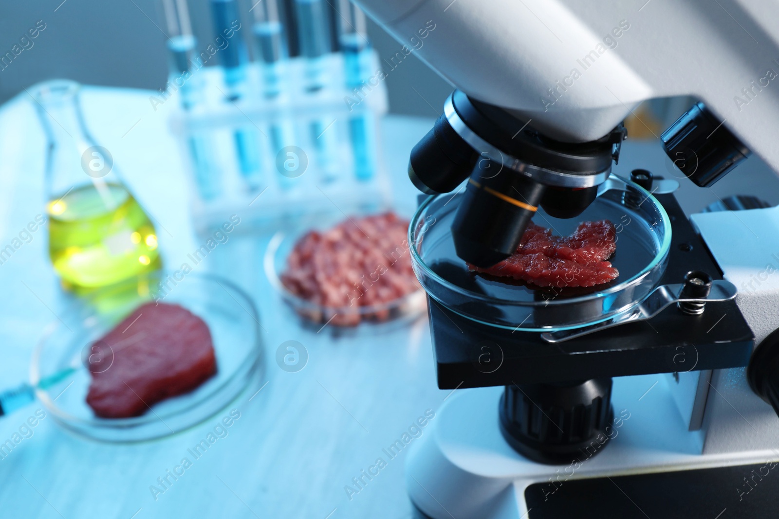 Photo of GMO concept. Petri dish with piece of meat under microscope in laboratory, closeup