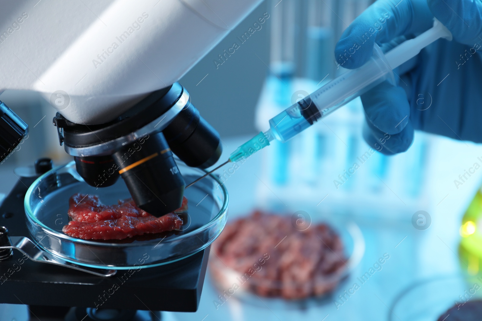 Photo of GMO concept. Scientist injecting something into piece of meat under microscope in laboratory, closeup