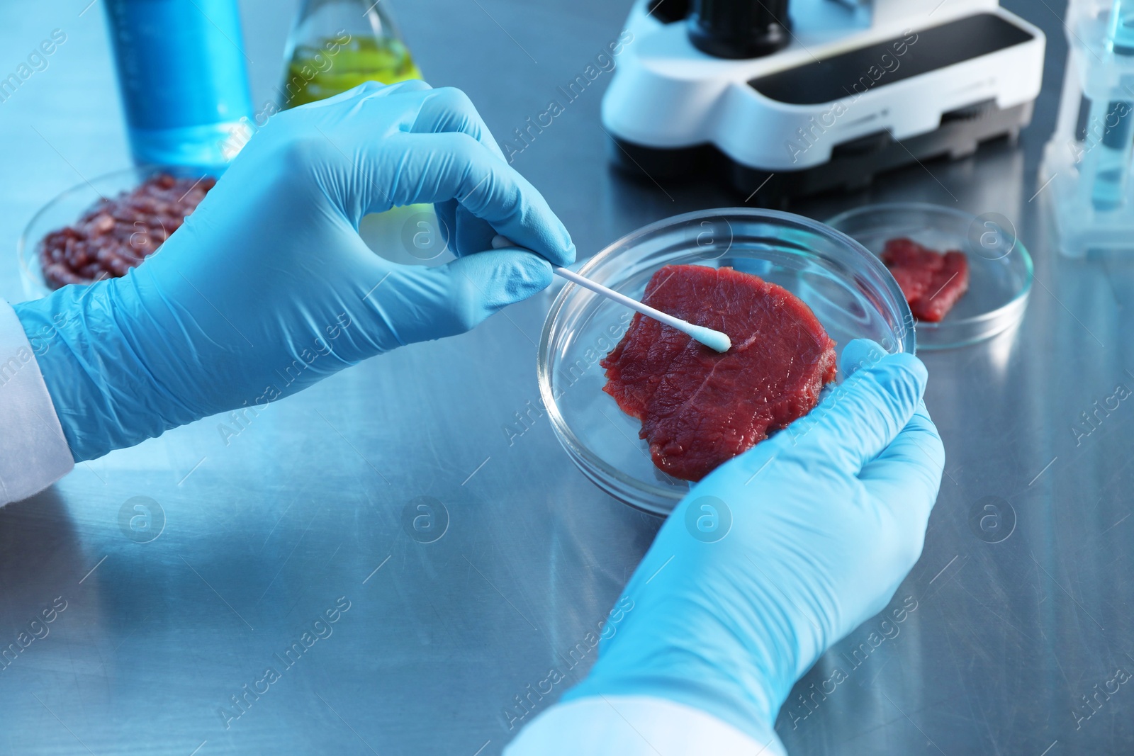 Photo of GMO concept. Scientist with swab and piece of meat at table in laboratory, closeup