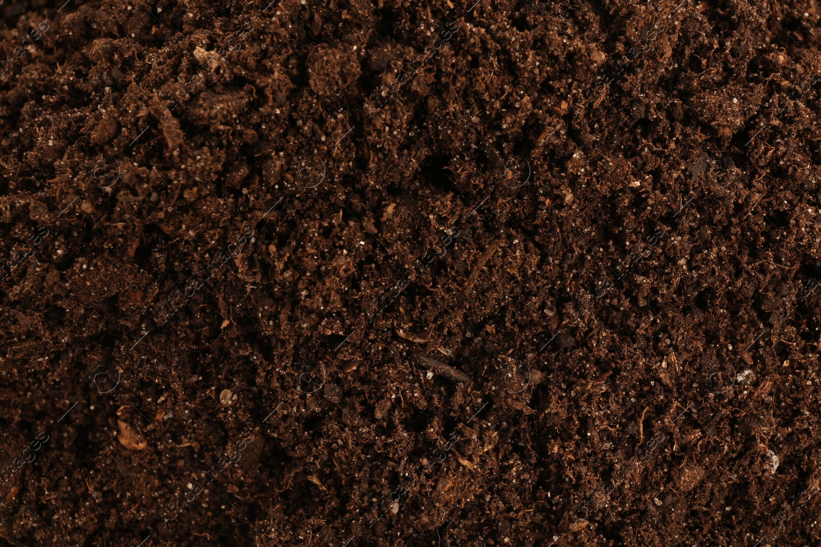 Photo of Texture of fresh soil as background, closeup