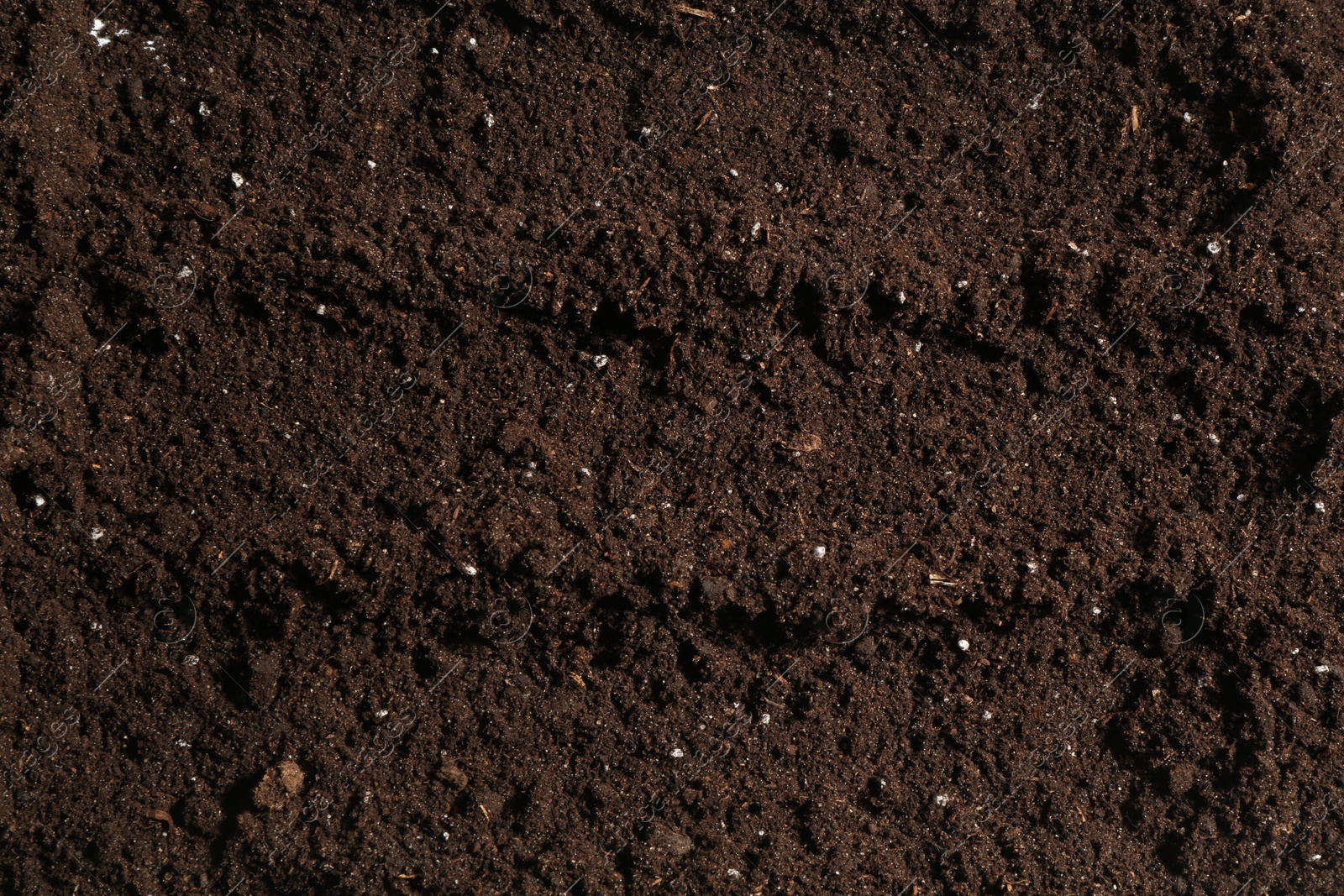 Photo of Texture of fresh soil as background, closeup