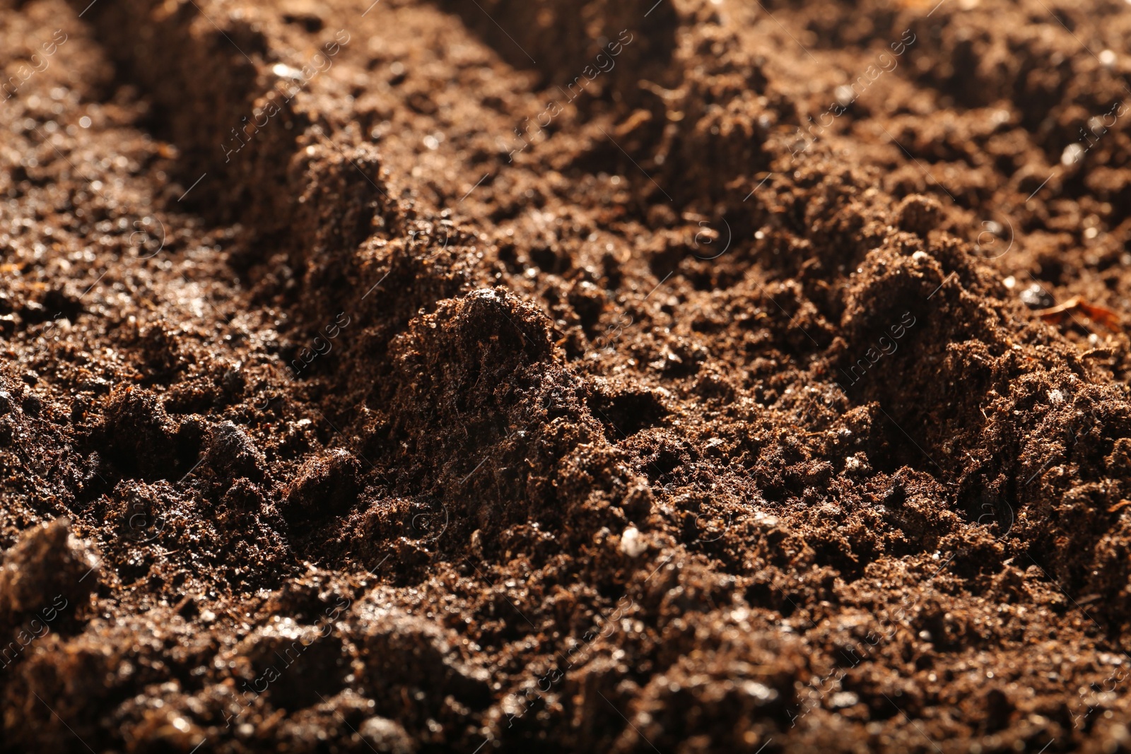 Photo of Texture of fresh soil as background, closeup