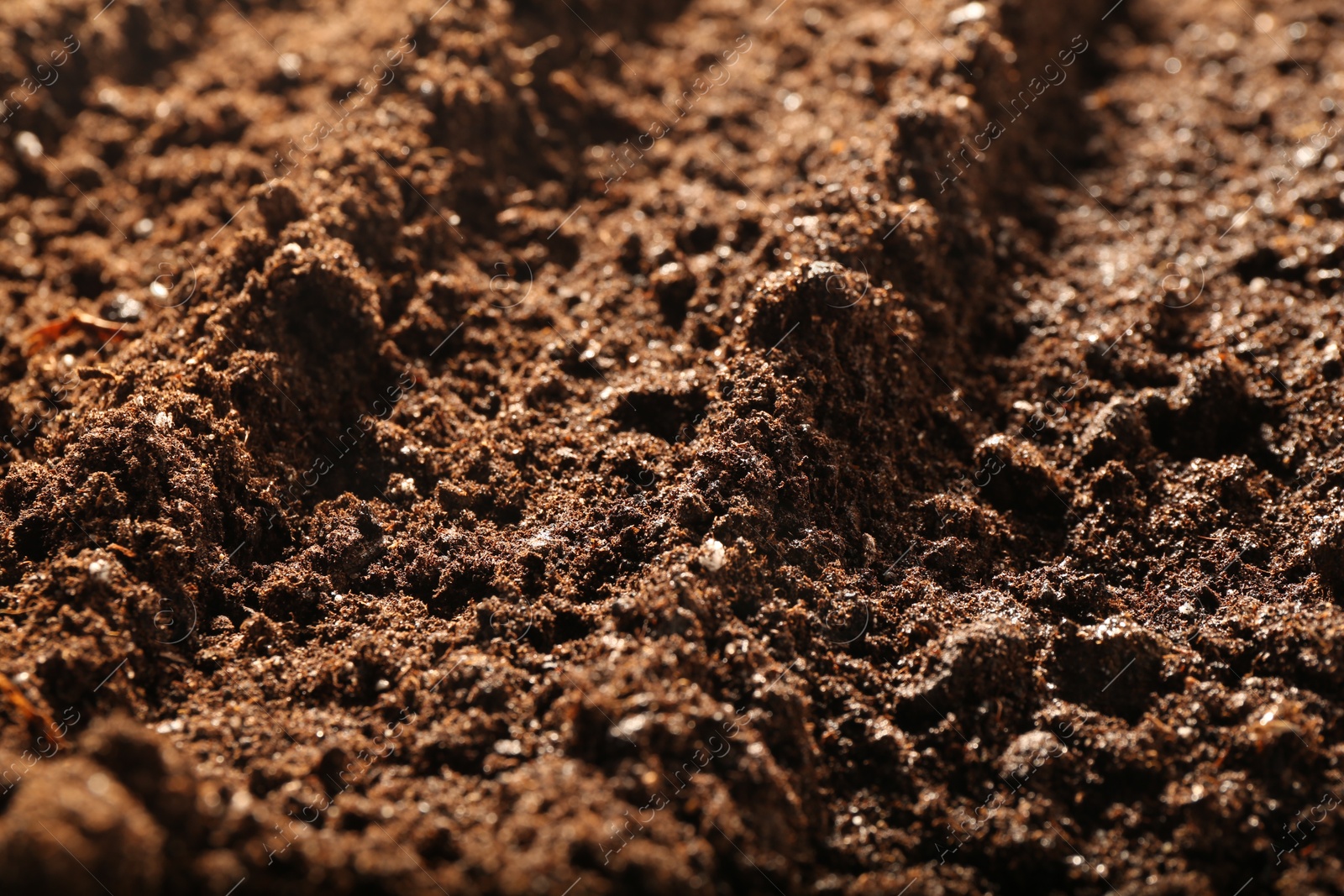 Photo of Texture of fresh soil as background, closeup