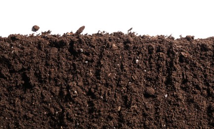 Photo of Fresh soil isolated on white. Gardening season