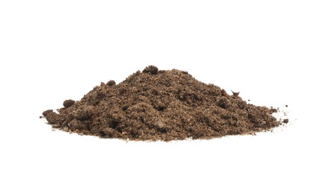 Photo of Pile of fresh soil isolated on white