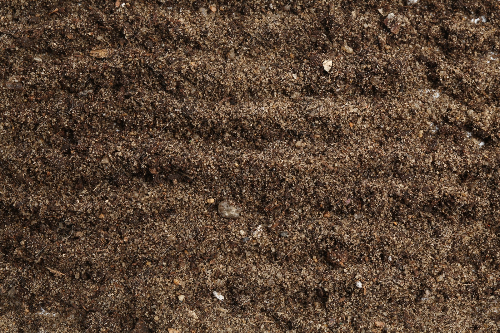 Photo of Texture of fresh soil as background, closeup