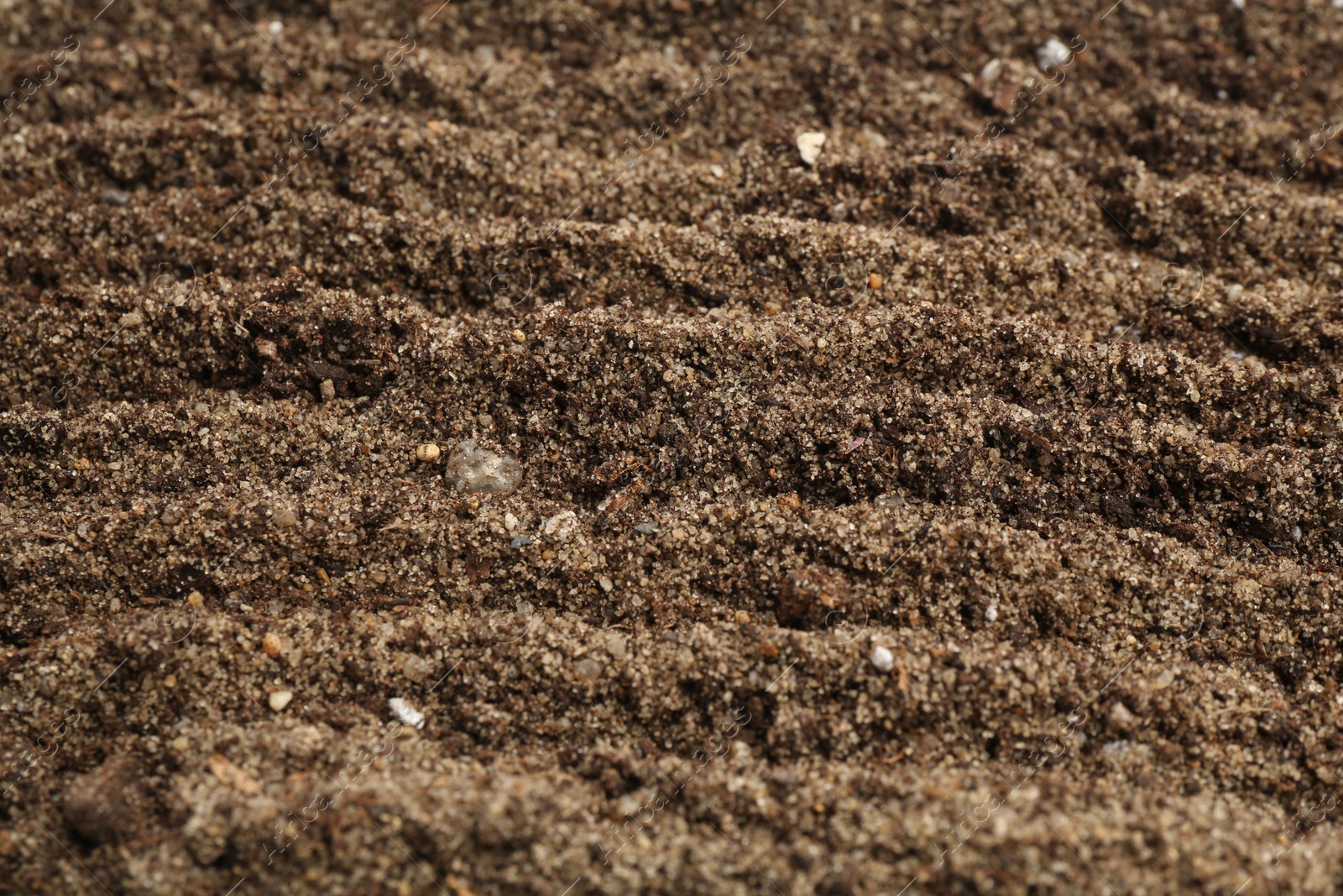 Photo of Texture of fresh soil as background, closeup