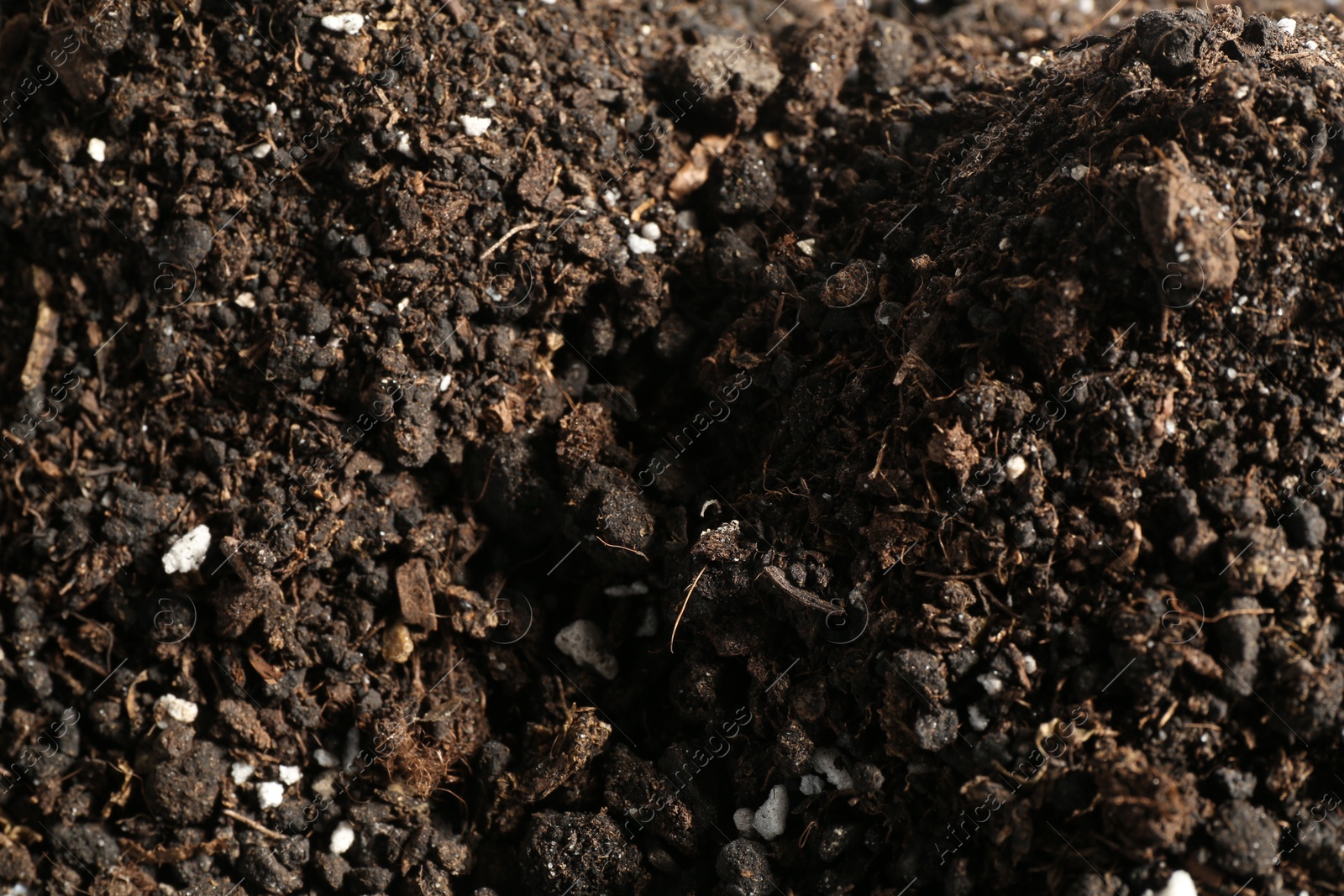 Photo of Texture of fresh soil as background, closeup