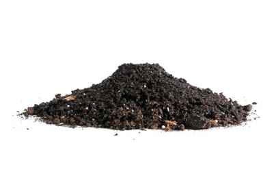 Photo of Pile of fresh soil isolated on white