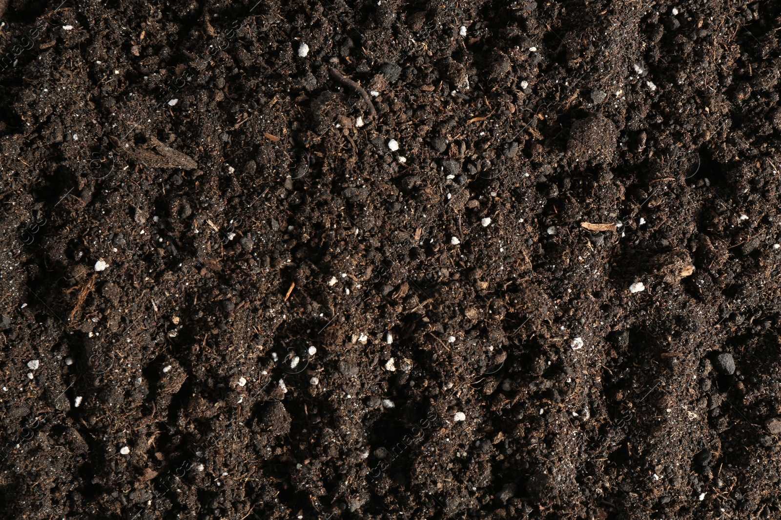 Photo of Texture of fresh soil as background, closeup