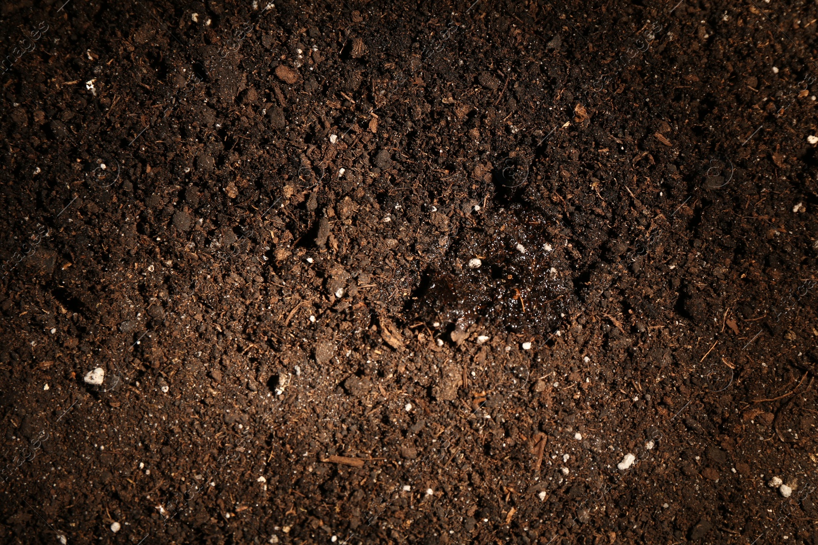 Photo of Texture of fresh soil as background, closeup