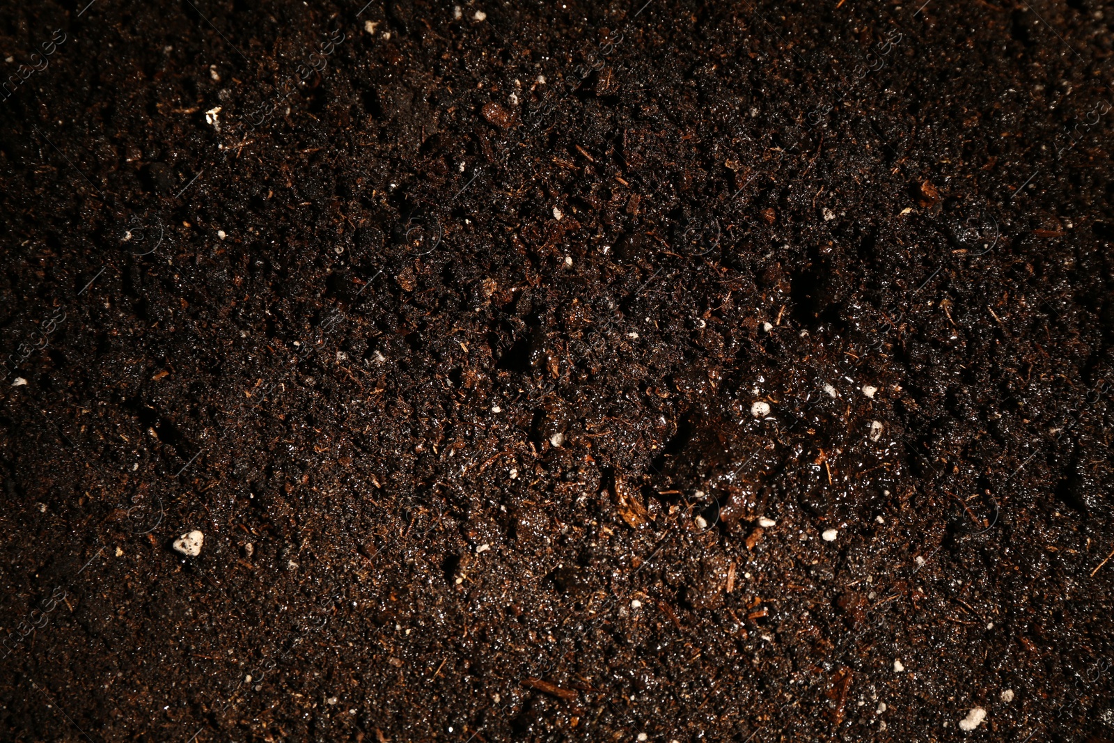 Photo of Texture of fresh soil as background, closeup