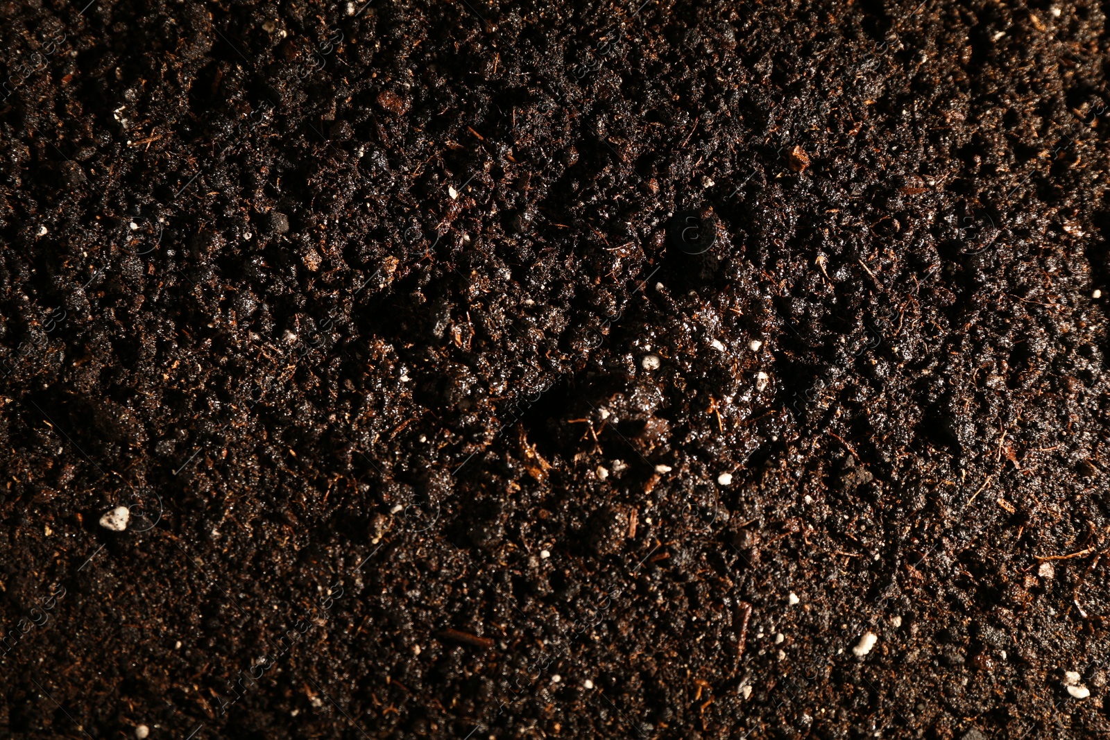 Photo of Texture of fresh soil as background, closeup