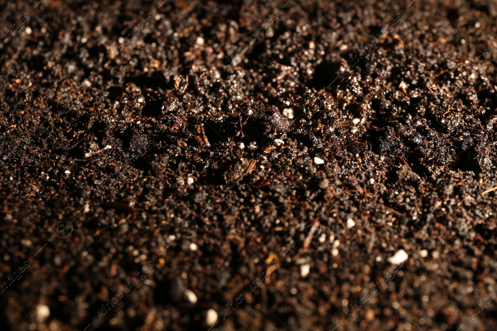 Photo of Texture of fresh soil as background, closeup