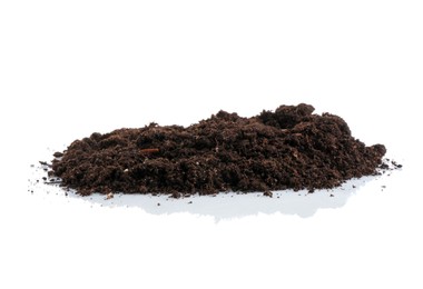 Photo of Pile of fresh soil isolated on white