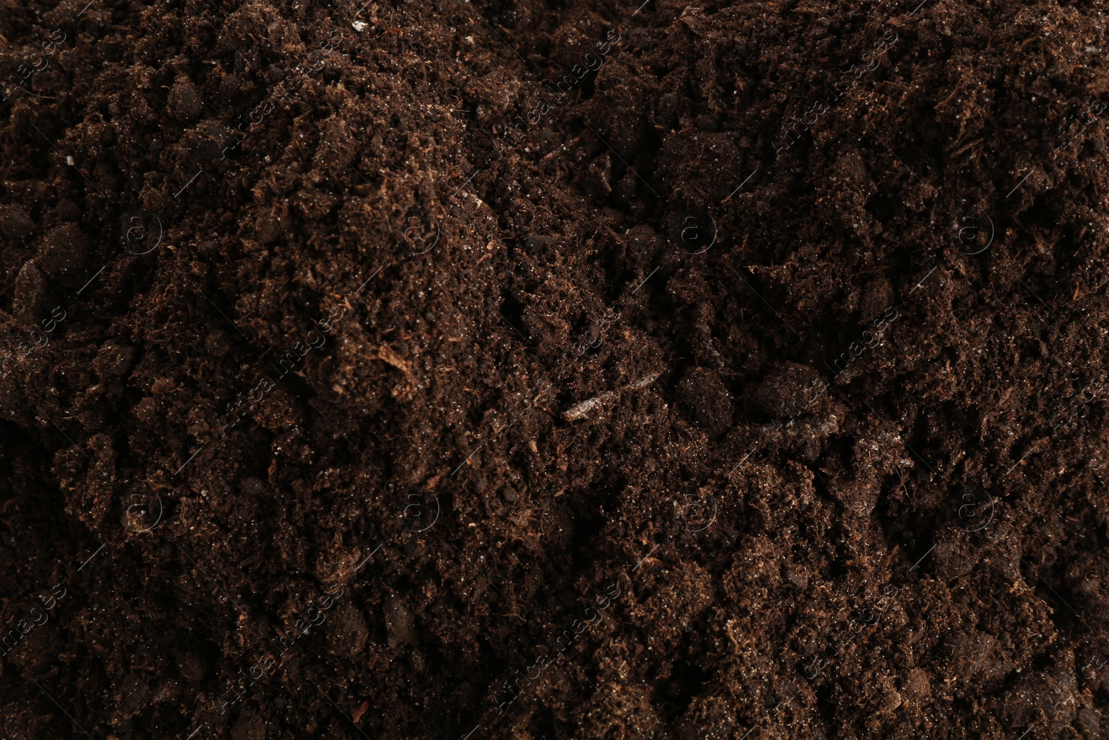 Photo of Texture of fresh soil as background, closeup