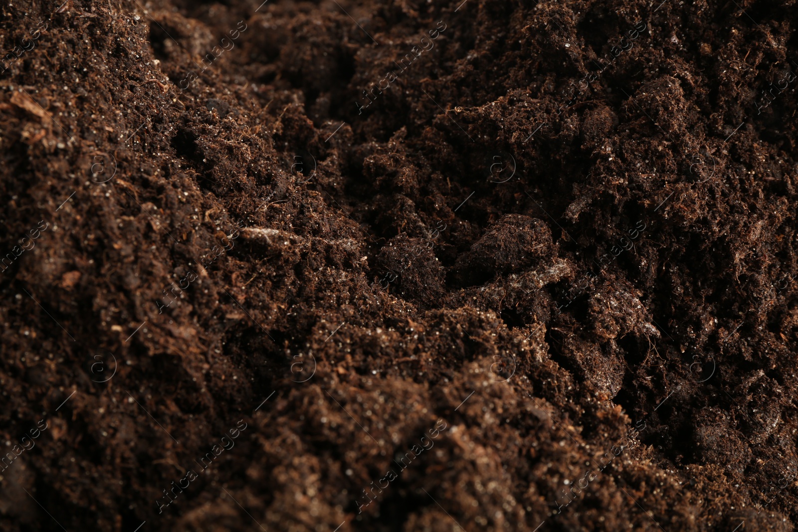 Photo of Texture of fresh soil as background, closeup