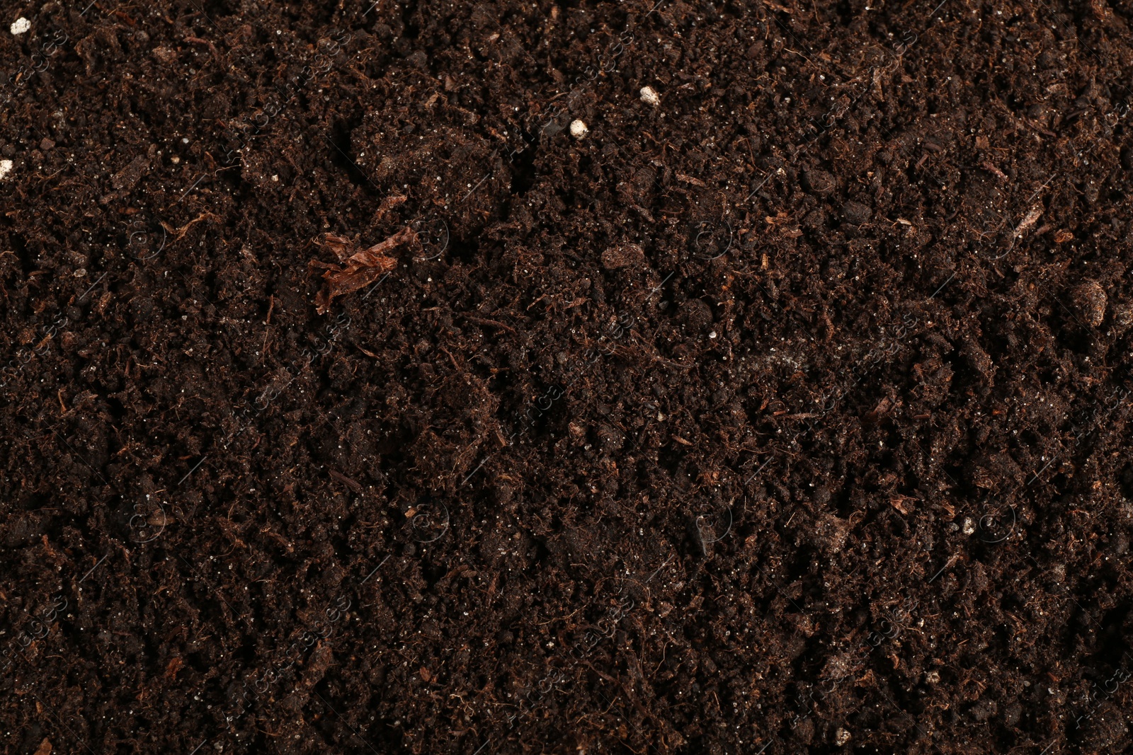 Photo of Texture of fresh soil as background, closeup