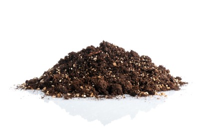 Photo of Pile of fresh soil isolated on white